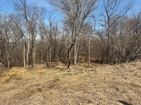 328 Limestone Road