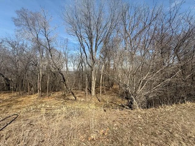 328 Limestone Road Cannon Falls, MN 55009