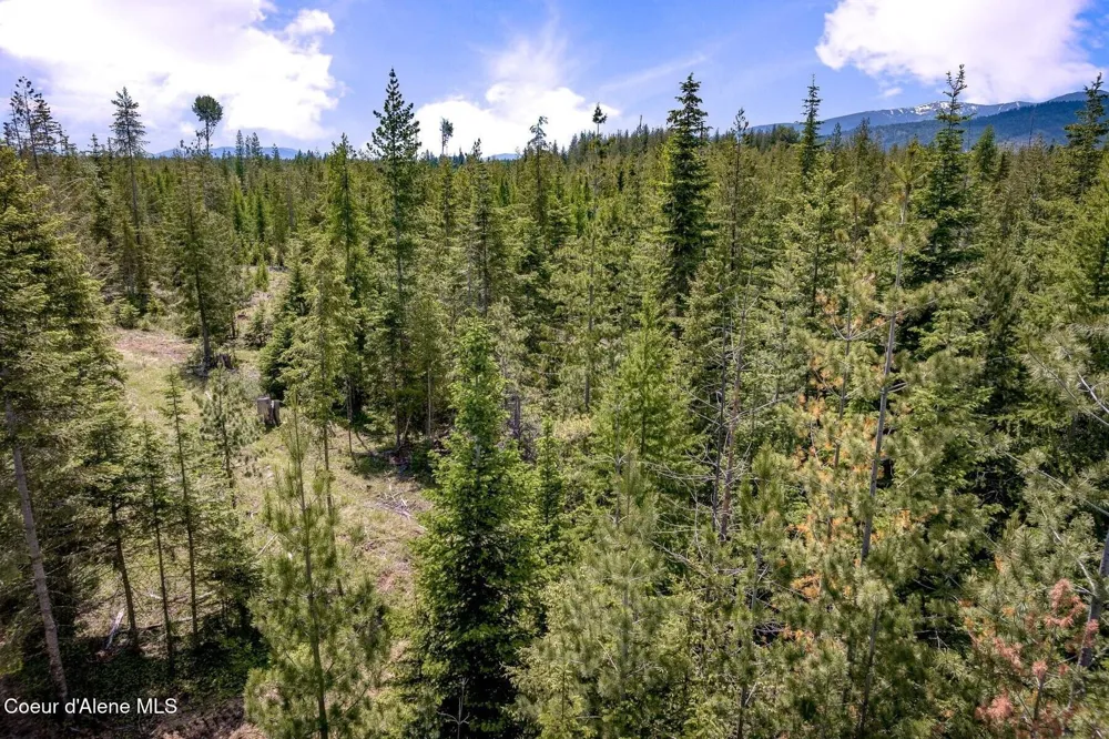 Lot 2 Phase 2 Noble Lane Sandpoint, ID 83864