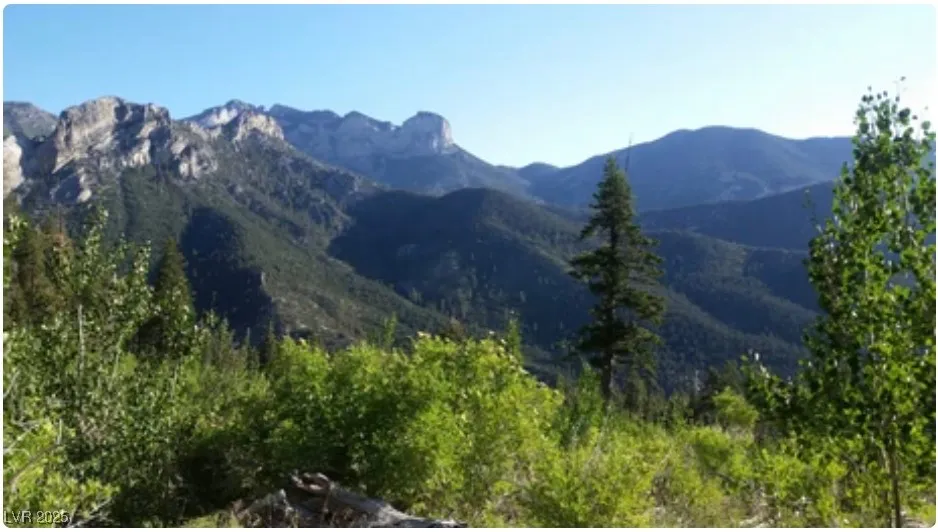 4096 Tyrol Way Mount Charleston, NV 89124