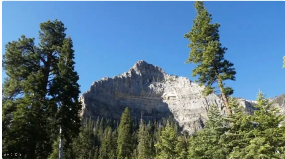 4096 Tyrol Way Mount Charleston, NV 89124