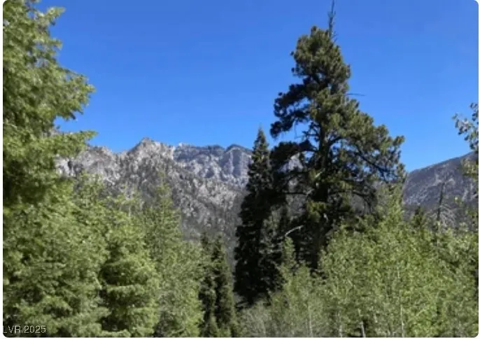 4096 Tyrol Way Mount Charleston, NV 89124