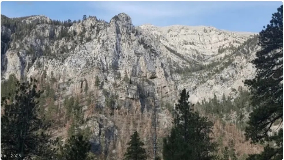 4096 Tyrol Way Mount Charleston, NV 89124
