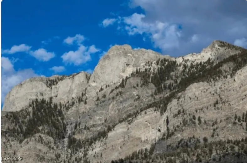 4096 Tyrol Way Mount Charleston, NV 89124