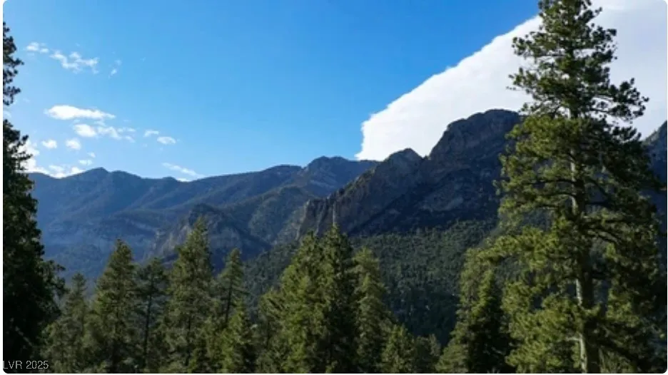 4096 Tyrol Way Mount Charleston, NV 89124