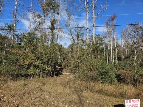 3979 Campground Road