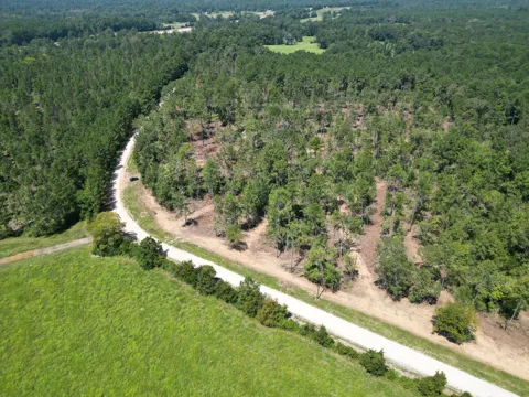 Vick Spring Road