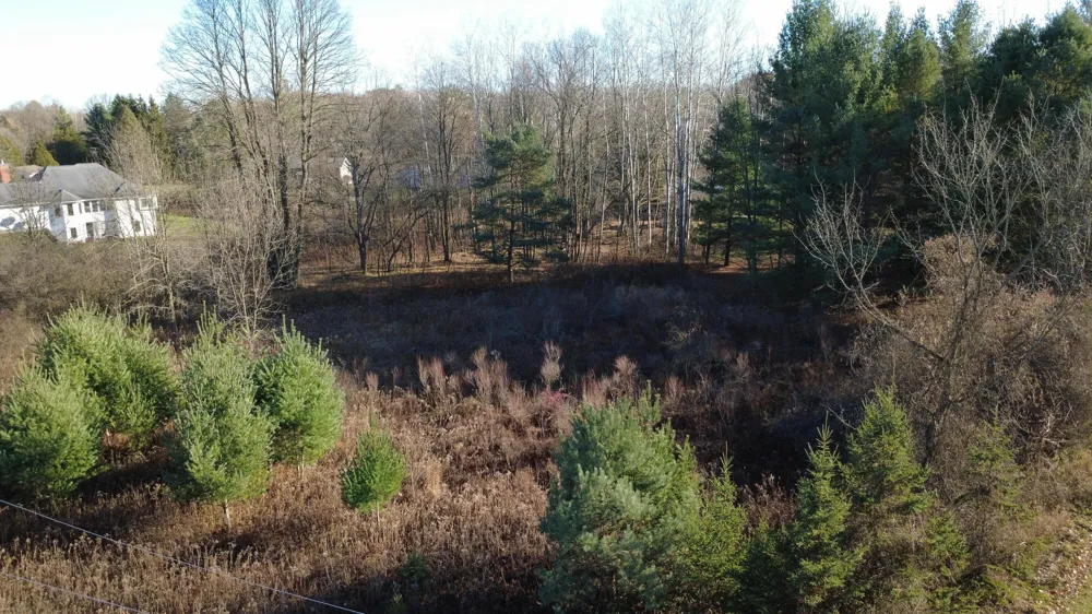 Edgewood Drive Big Rapids, MI 49307