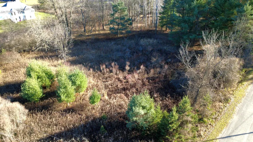 Edgewood Drive Big Rapids, MI 49307