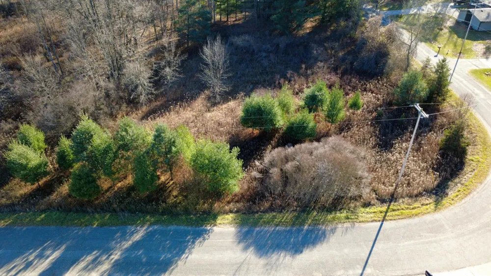 Edgewood Drive Big Rapids, MI 49307