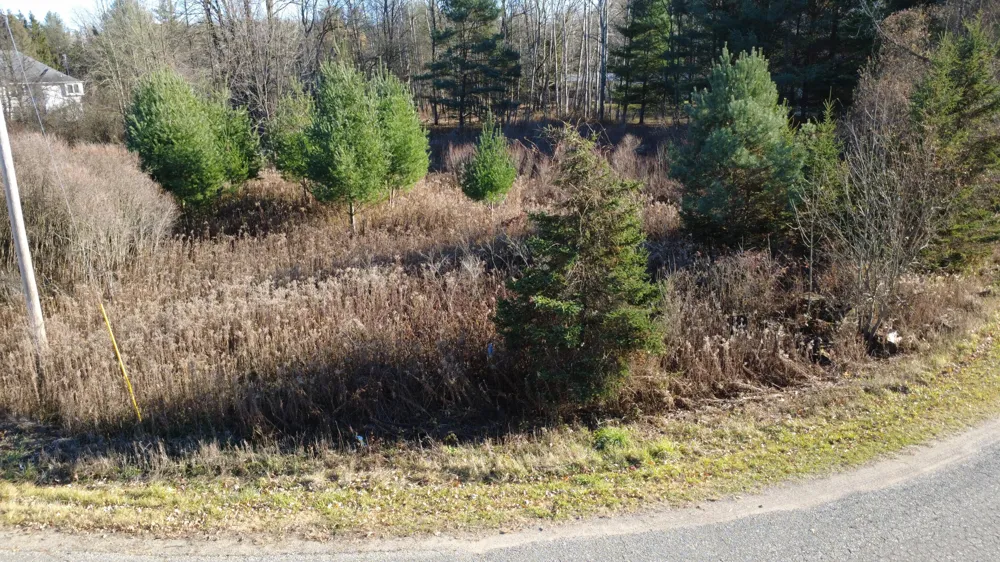 Edgewood Drive Big Rapids, MI 49307