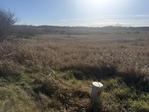 18 Mile Road