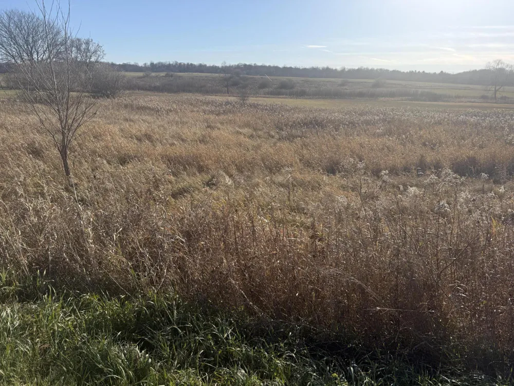 18 Mile Road Big Rapids, MI 49307
