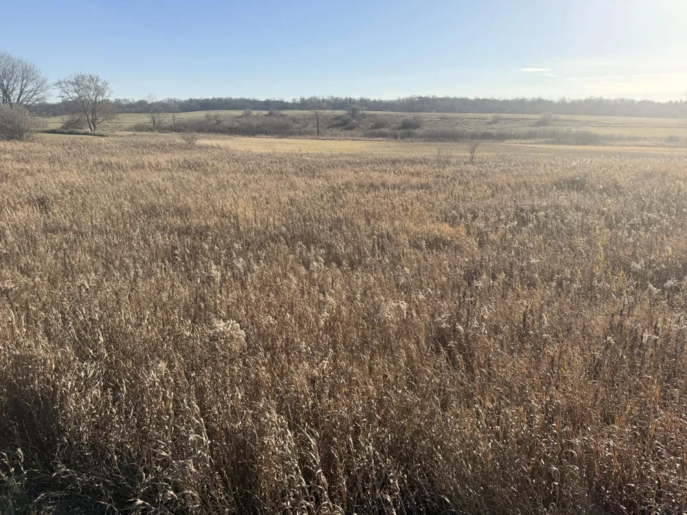 18 Mile Road Big Rapids, MI 49307
