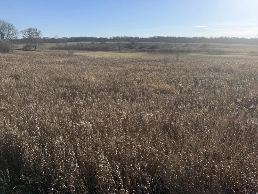 18 Mile Road Big Rapids, MI 49307