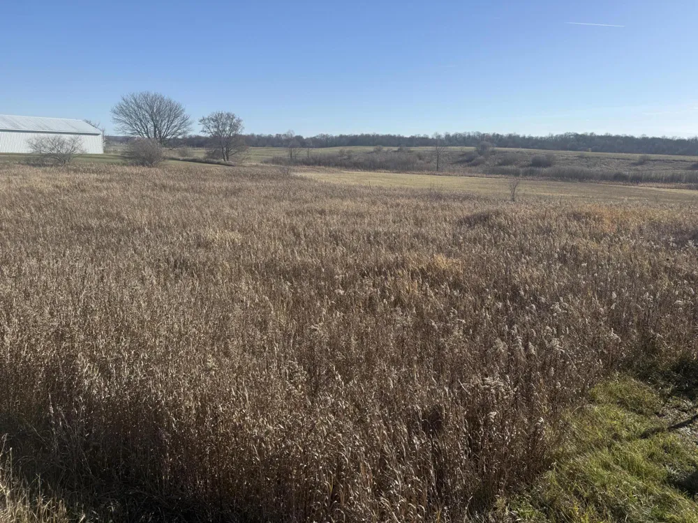 18 Mile Road Big Rapids, MI 49307