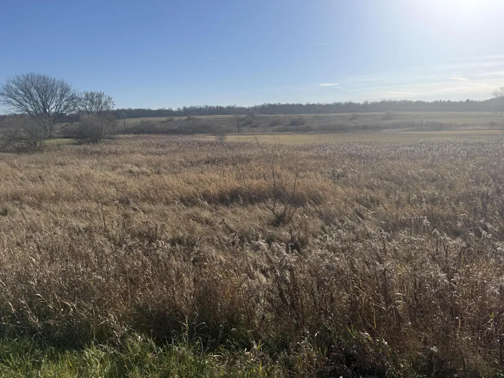 18 Mile Road Big Rapids, MI 49307
