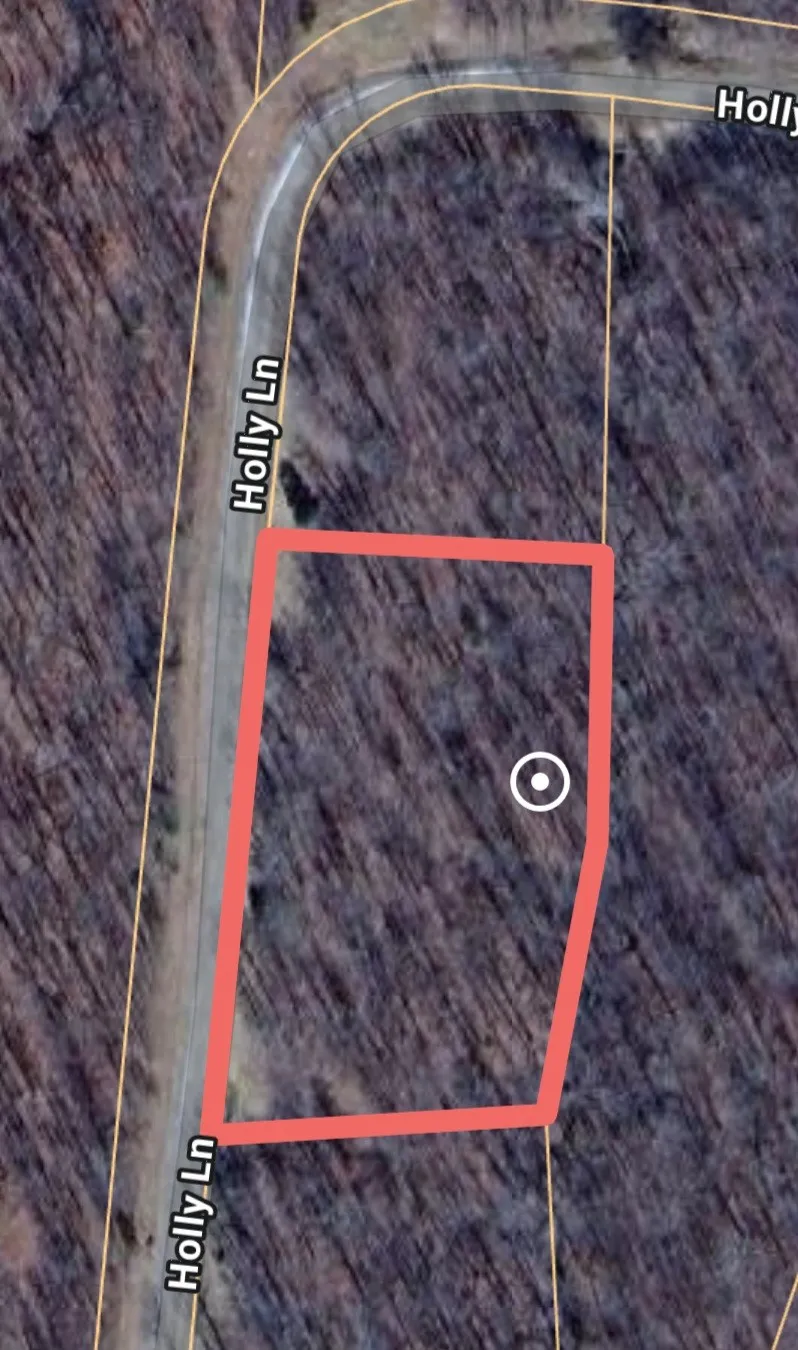 0 Holly Lane Spencer, TN 38585