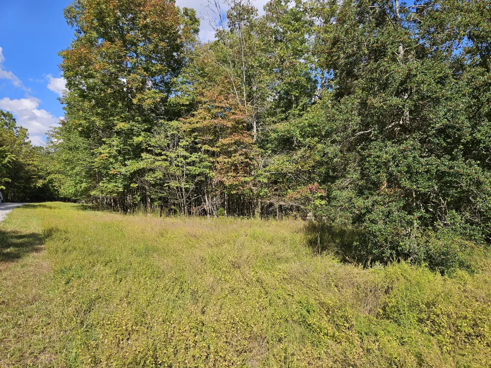 0 Holly Lane Spencer, TN 38585