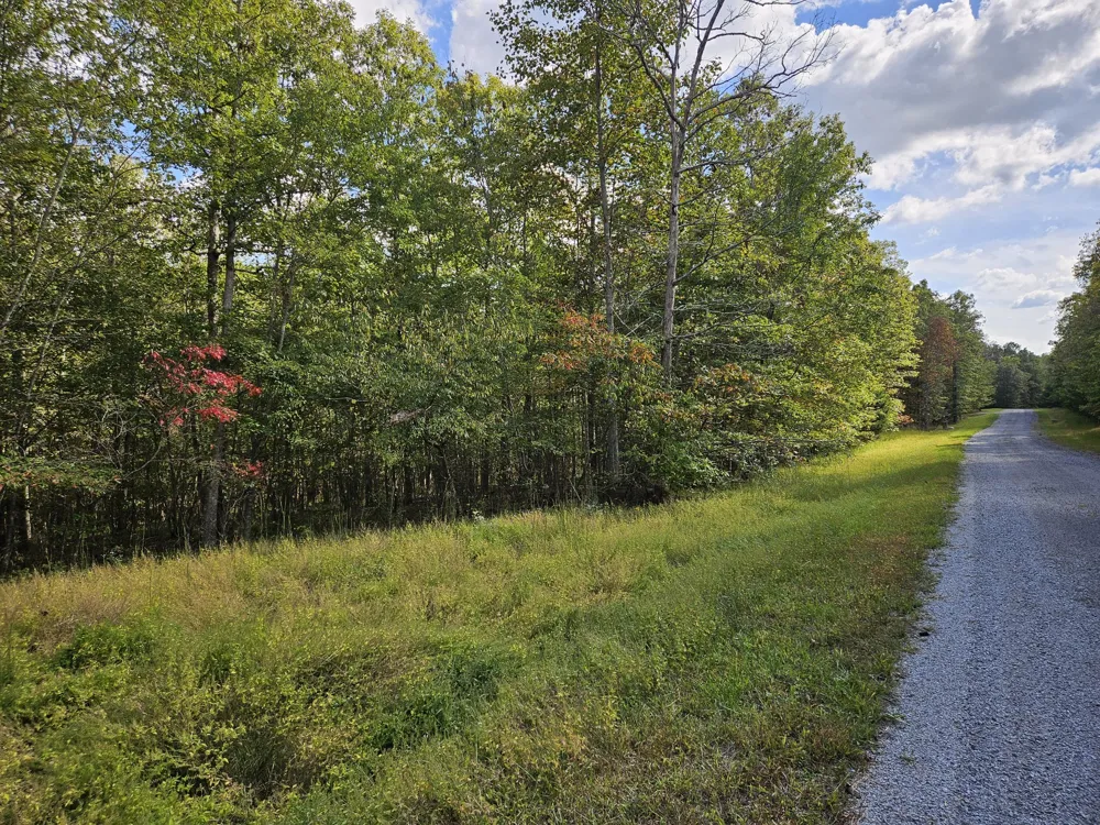 0 Holly Lane Spencer, TN 38585