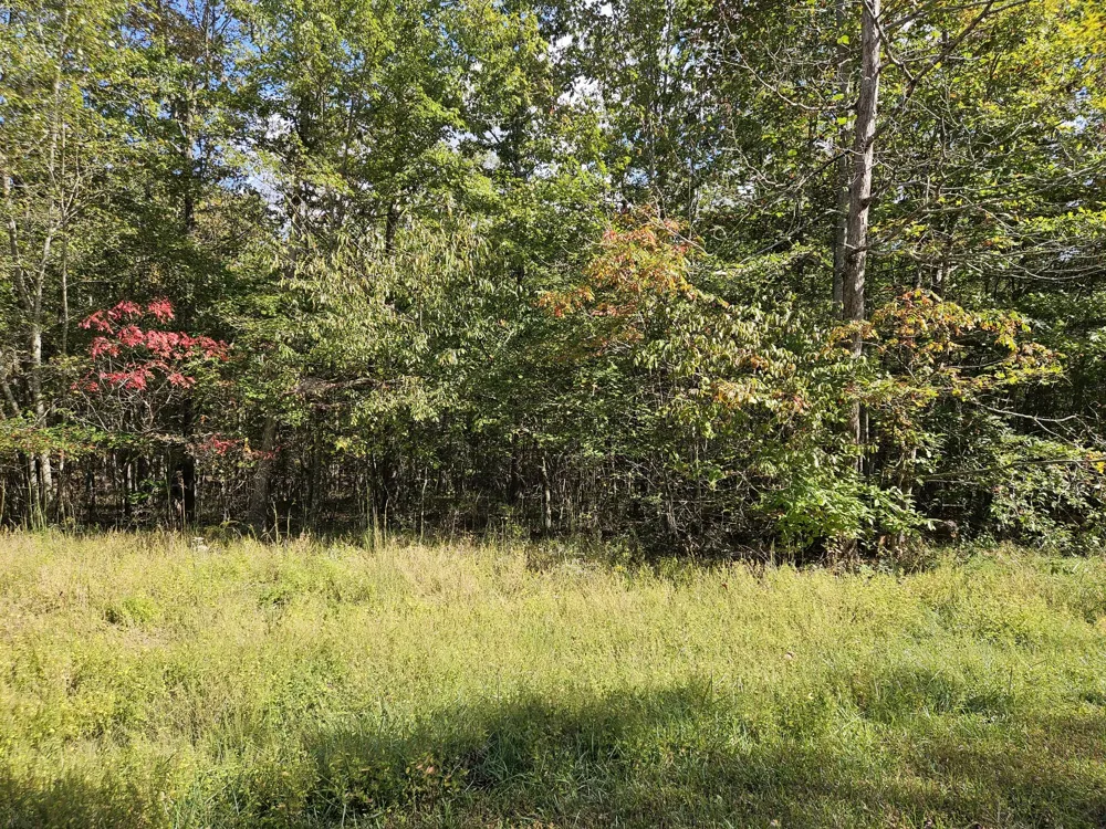 0 Holly Lane Spencer, TN 38585