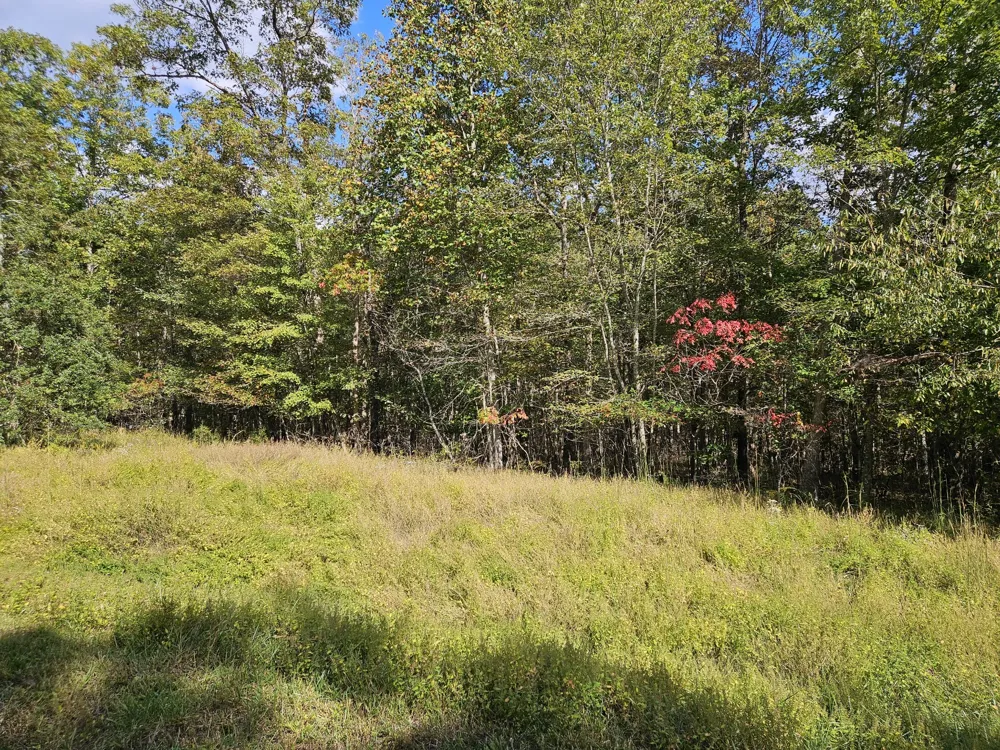 0 Holly Lane Spencer, TN 38585
