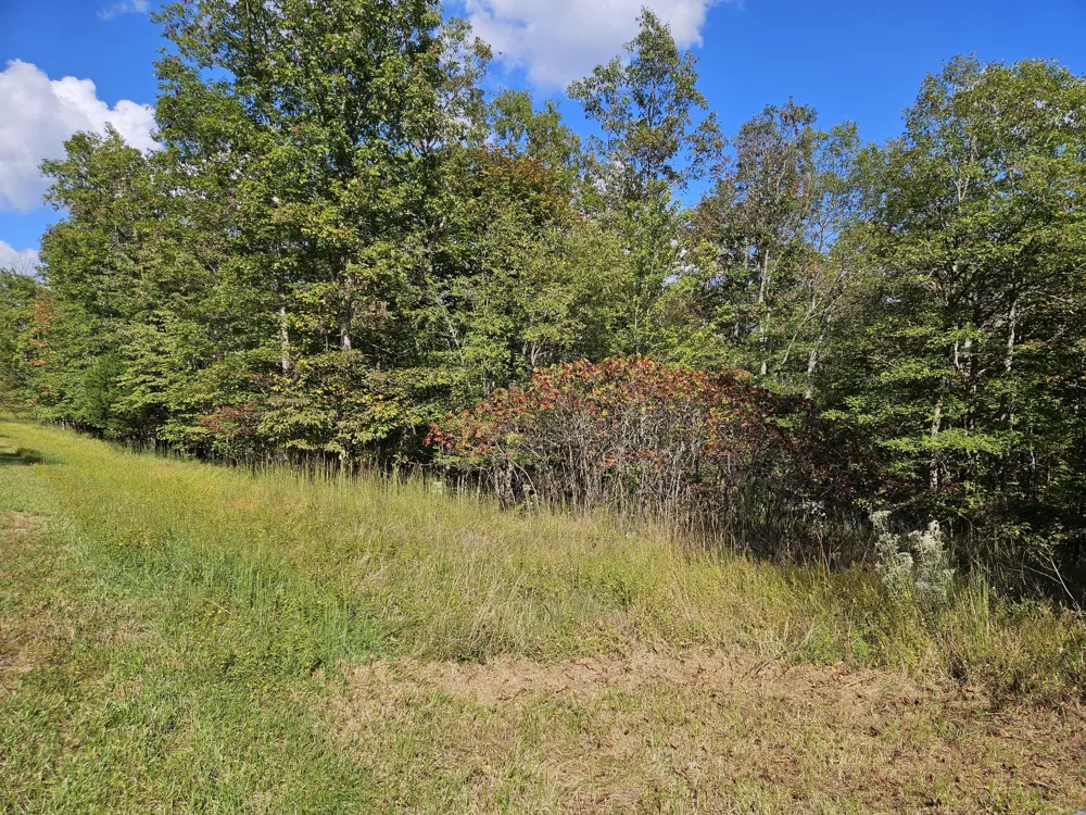 0 Holly Lane Spencer, TN 38585