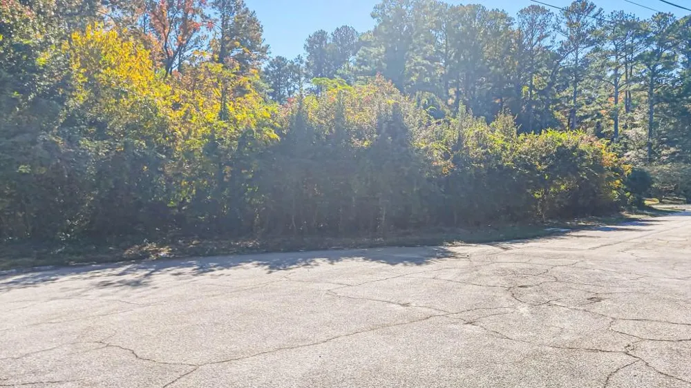 0 Cambridge Street Snellville, GA 30078