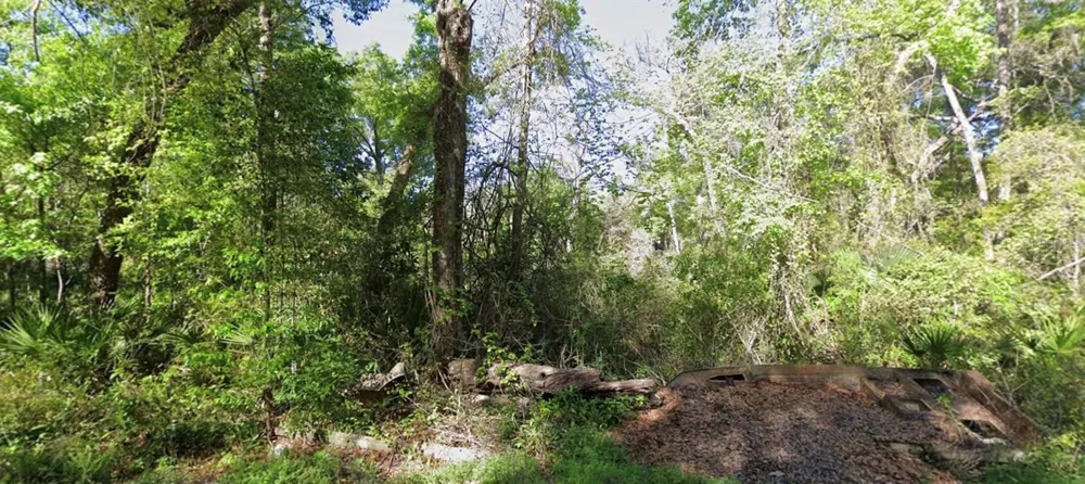 000 926TH STREET Old Town, FL 32680