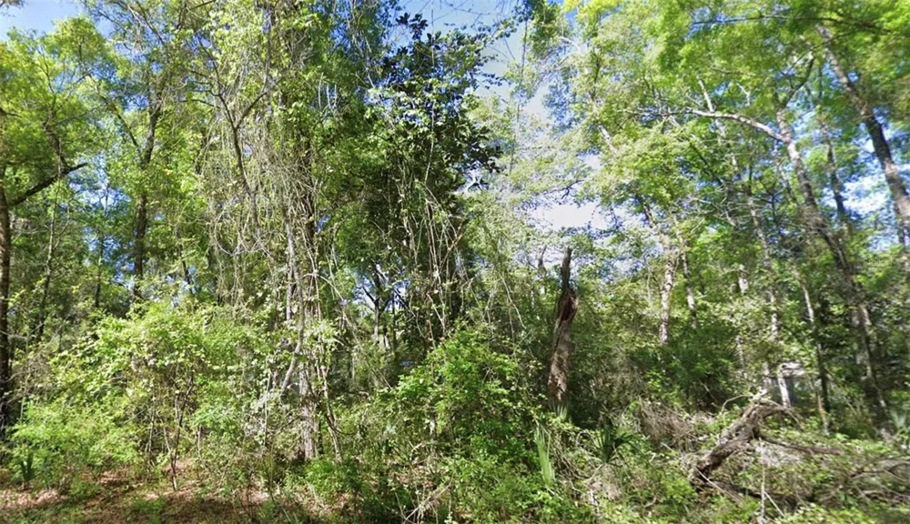 TBD SE 926TH ST STREET Old Town, FL 32680