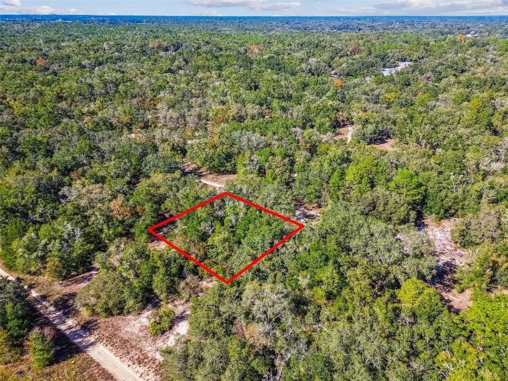 2903 TYLER STREET Inverness, FL 34453