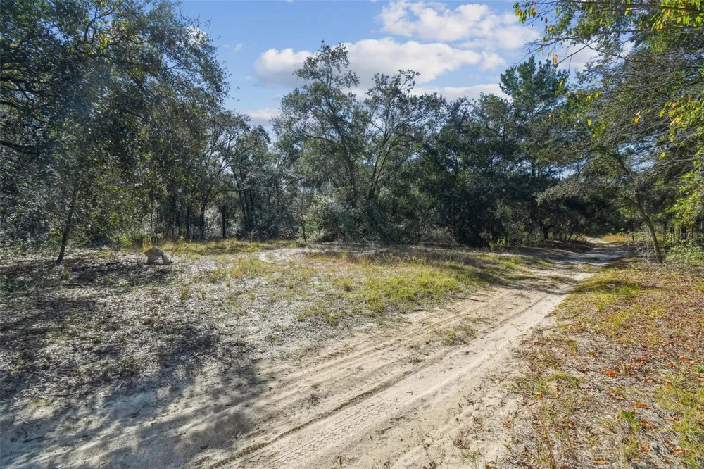 2903 TYLER STREET Inverness, FL 34453