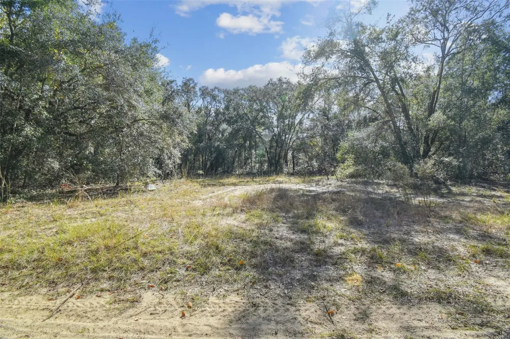 2903 TYLER STREET Inverness, FL 34453