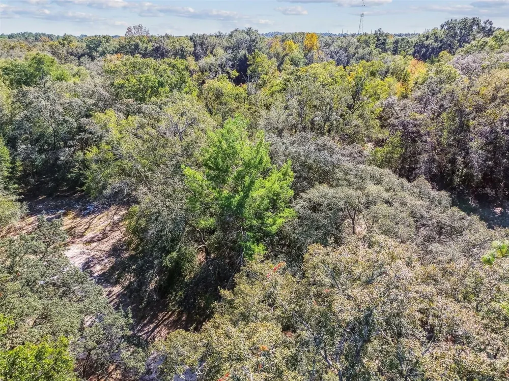 2903 TYLER STREET Inverness, FL 34453