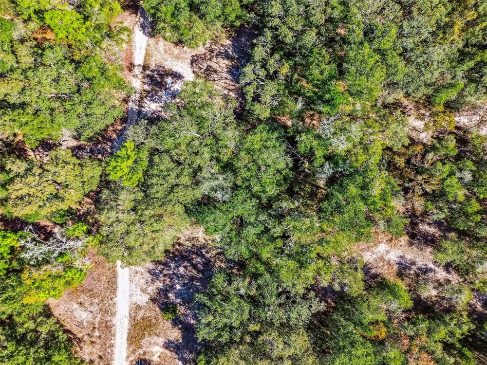 2903 TYLER STREET Inverness, FL 34453