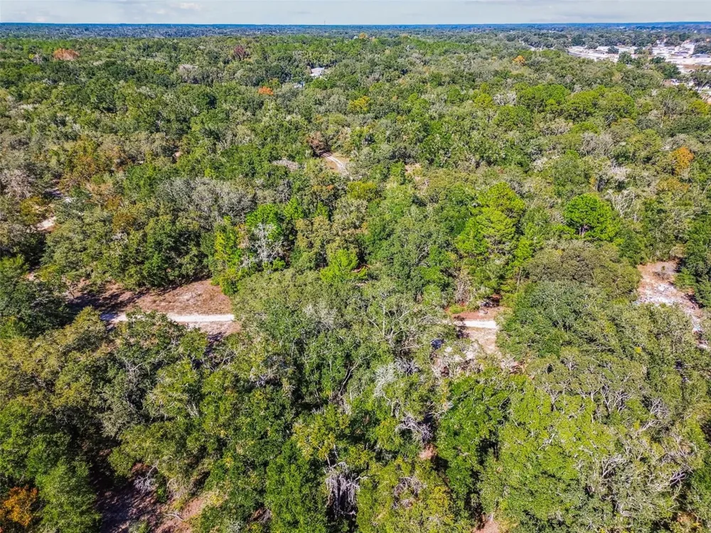 2903 TYLER STREET Inverness, FL 34453