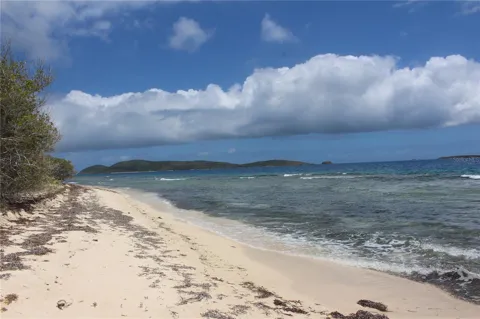 250 Zoni PLAYA LARGA