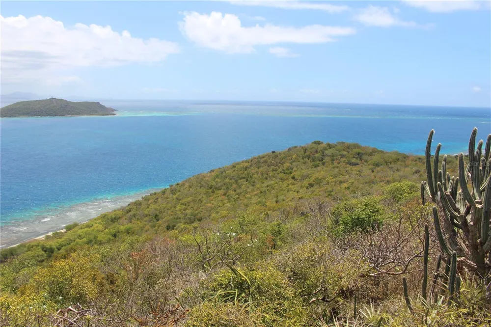 250 Zoni PLAYA LARGA Culebra, PR 00775