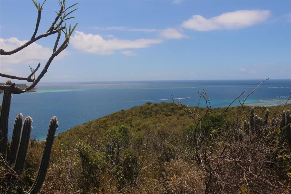 250 Zoni PLAYA LARGA Culebra, PR 00775