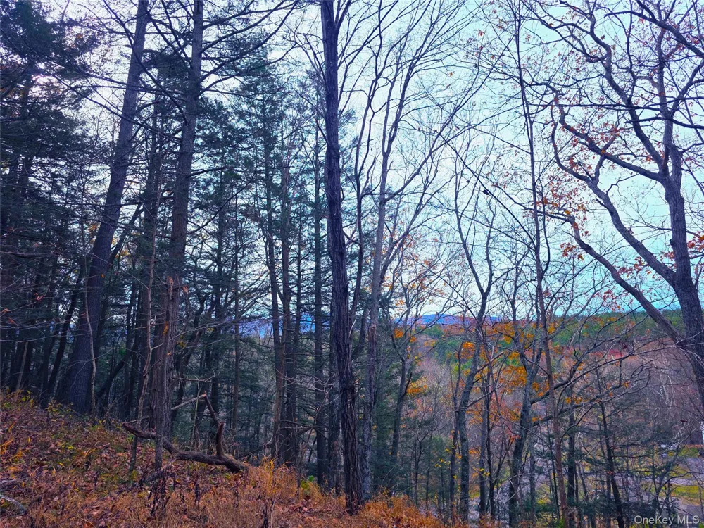 0 County Route 41 Cairo, NY 12413
