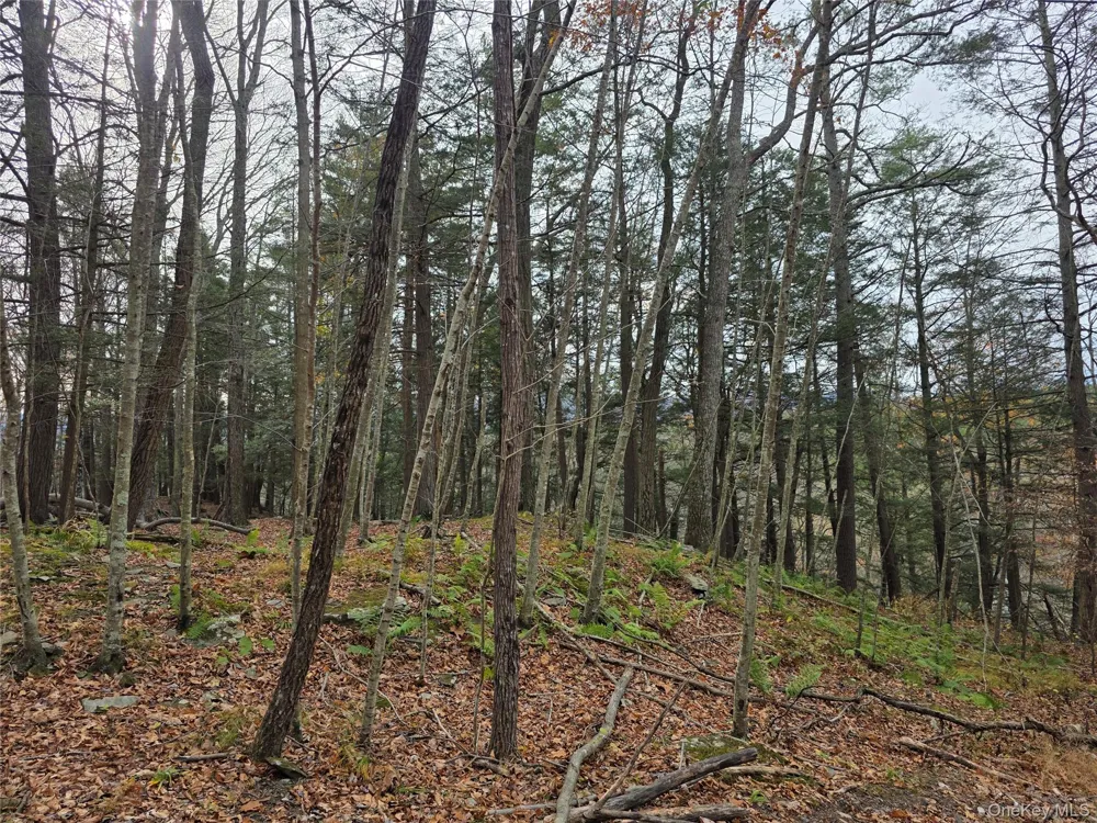 0 County Route 41 Cairo, NY 12413