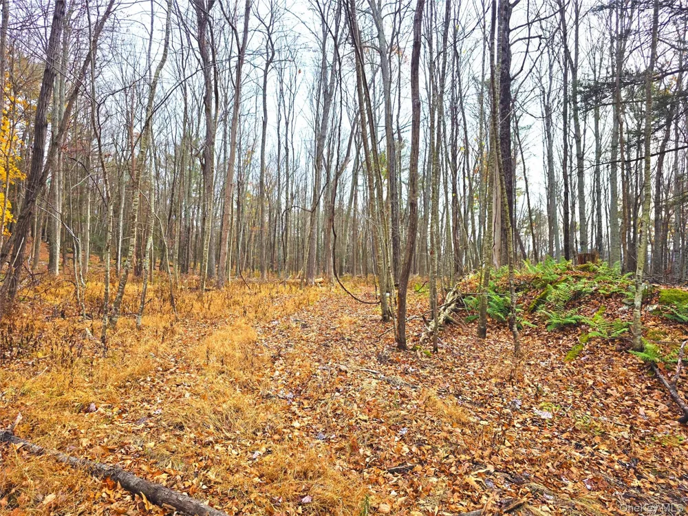 0 County Route 41 Cairo, NY 12413