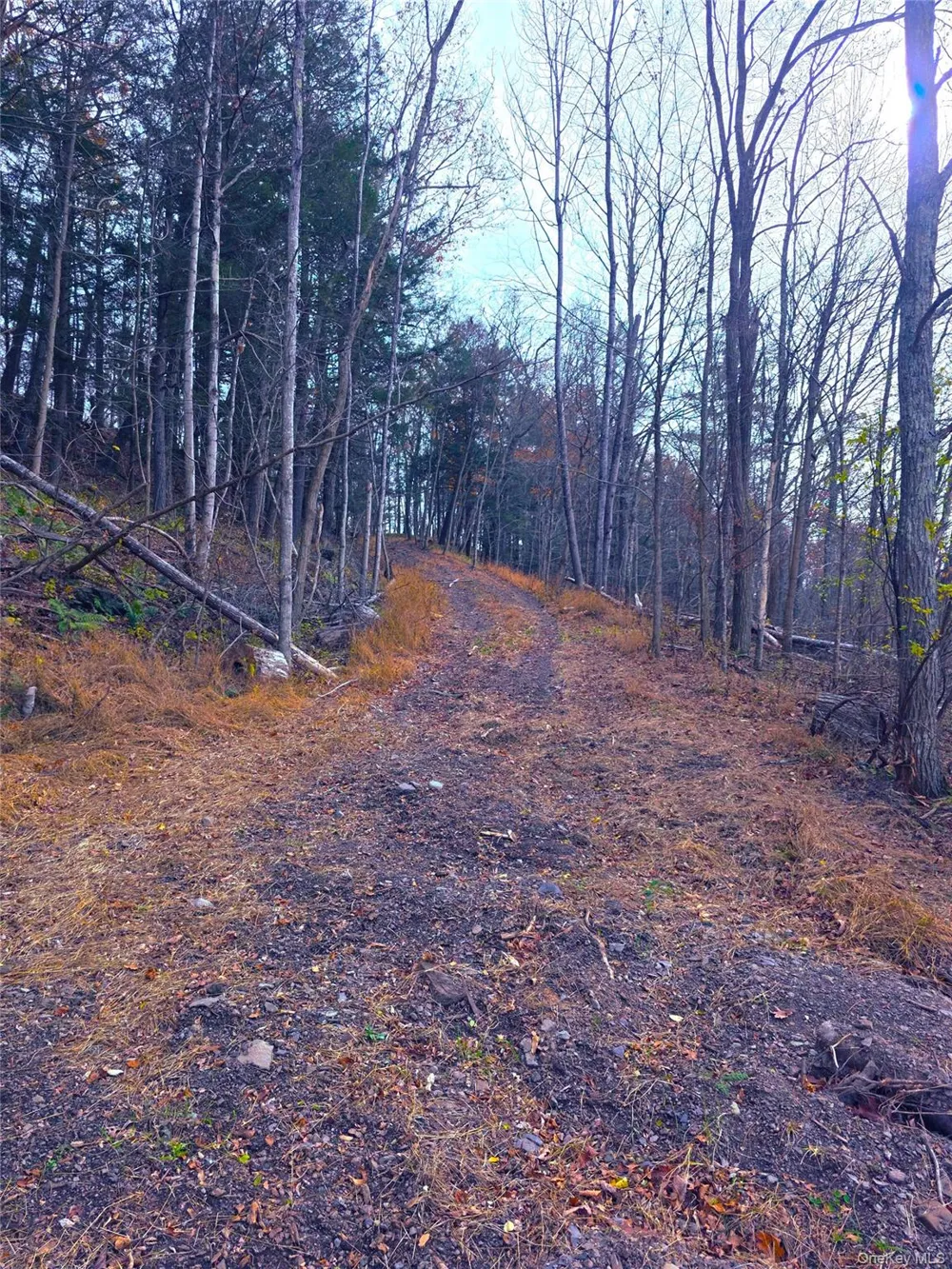 0 County Route 41 Cairo, NY 12413