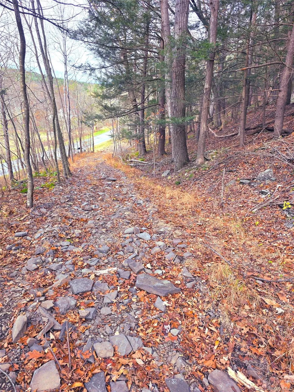 0 County Route 41 Cairo, NY 12413