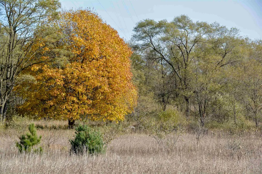 E Traverse Highway Elmwood Charter Township, MI 49684