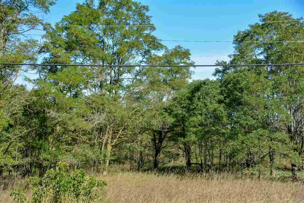 E Traverse Highway Elmwood Charter Township, MI 49684