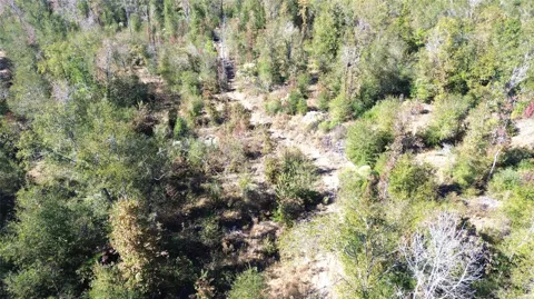 Fm 1280 East