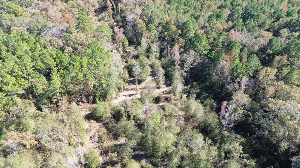 Fm 1280 East Lovelady, TX 75851