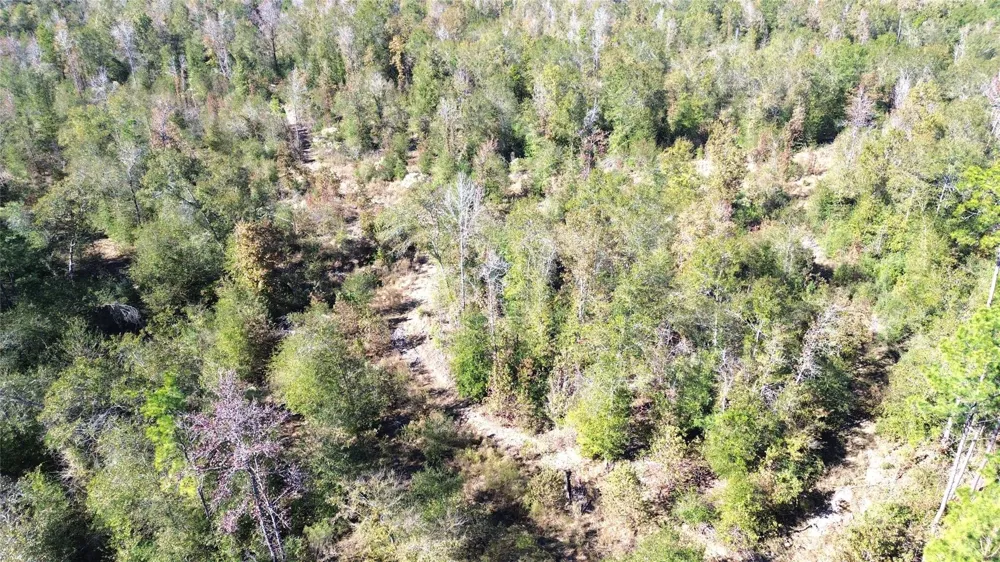 Fm 1280 East Lovelady, TX 75851