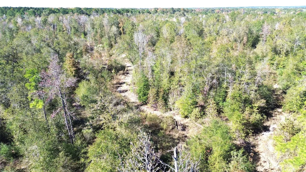 Fm 1280 East Lovelady, TX 75851